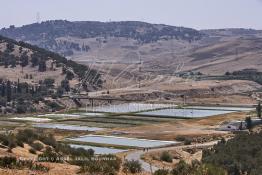 Image du Maroc Professionnelle de  Le barrage Oued El Makhazine, conçu pour le développement et  l'irrigation du périmètre du Loukkos. Ainsi les champs situés dans le triangle Ksar El Kébir, Larache, Moulay Bouselham profitent de cette infrastructure. Cette importante réalisation située sur El Oued Loukkos sert à la régularisation inter annuelle des débits tout en formant une protection contre les crues, au Jeudi 1er Septembre 2005 à cette datte le barrage dispose 309 Million de M3. (Photo / Abdeljalil Bounhar) 